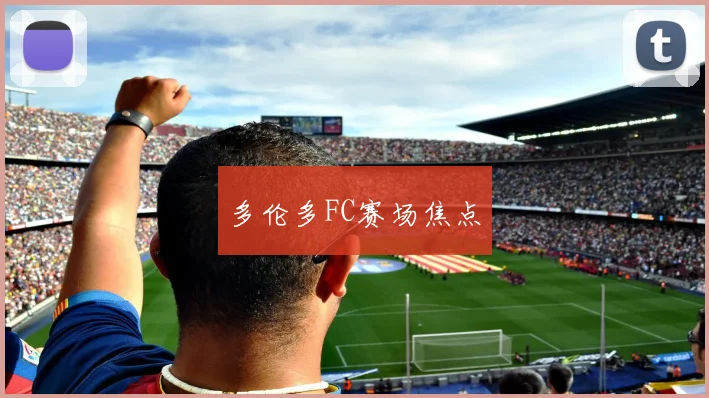 多伦多FC赛场焦点