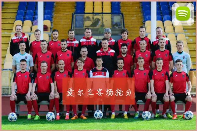 爱尔兰客场抢分