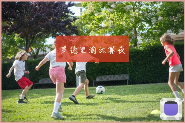 罗德里淘汰赛夜